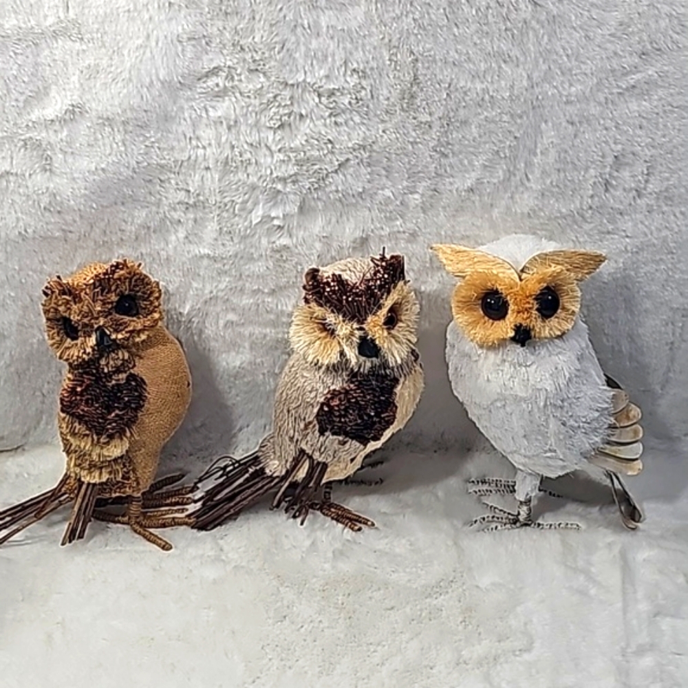 Natural Owl Decor Accent Bundle of 3